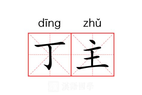 丁金意思|丁（汉语文字）